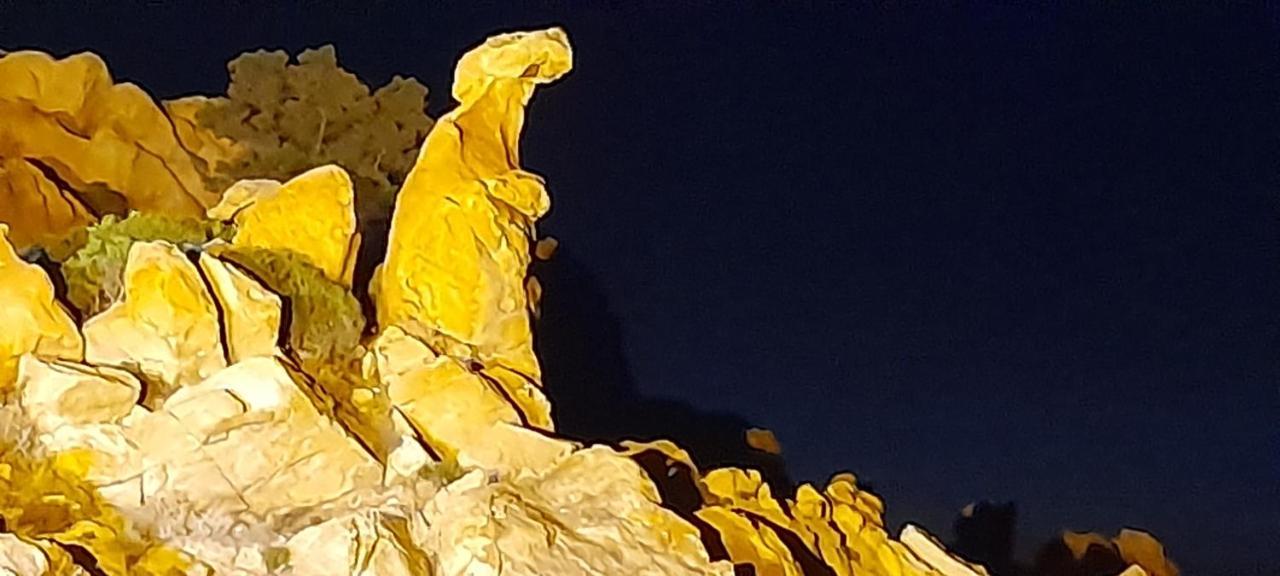 مبيت وإفطار Sollacaro U Riposu Di A Cupulatta المظهر الخارجي الصورة